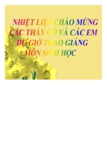 sự phát triển của sinh giới qua các đại địa đất - luận văn, đồ án, đề tài tốt nghiệp