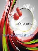 thuyết trình sinh học -  quần thể sinh vật (2)