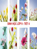 thuyết trình sinh học- lai hai cặp tính trạng (2)