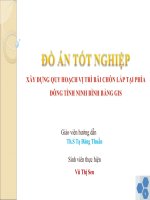 xây dựng quy hoạch vị trí bãi chôn lấp tại phía đông tỉnh Ninh Bình bằng GIS