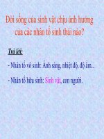 thuyết trình sinh học - ảnh hưởng lẫn nhau giữa các sinh vật (3)