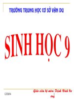 thuyết trình sinh học - mối quan hệ giữa gen và tính trạng (3)
