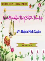 thuyết trình sinh học - lai một cặp tính trạng (2)