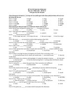đề thi thử đại học tiếng anh đề số 17