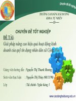 slide giải pháp nâng cao hiệu quả hoạt động kinh doanh của quỹ tín dụng nhân dân xã cộng hòa