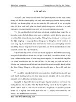 hoàn thiện tổ chức kế toán doanh thu, chi phí và xác định kết quả kinh doanh tại xí nghiệp kinh doanh phát triển nhà - công ty kinh doanh nhà hải phòng