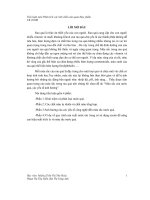 tiểu luận môn phân tích các tính chất cảm quan thực phẩm cb 2010b - luận văn, đồ án, đề tài tốt nghiệp