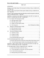 báo cáo thực tập kế toán nguyên vật liệu tại công ty cổ phần bia SÀI GÒN  NGHỆ TỊNH