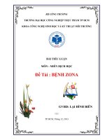 Bài tiểu luận Bệnh Zona