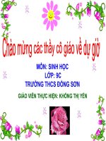 thuyết trình sinh học -  mối quan hệ giữa gen và arn (2)