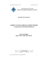 luận văn nghiên cứu hoàn thiện quy trình chế biến và bảo quản sản phẩm bánh gấc - luận văn, đồ án, đề tài tốt nghiệp