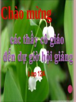 bài giảng sinh học 12 bài 27. quá trình hình thành quần thể thích nghi .