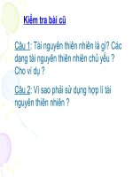 thuyết trình sinh học - khôi phục môi trường và gìn giữ thiên nhiên hoang dã (3)