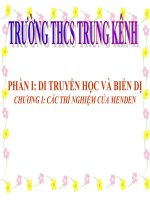 thuyết trình sinh học - menđen và di truyền học (2)