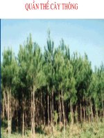 sinh học 12 bài 16. cấu trúc di truyền của quần thể.