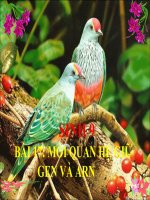 thuyết trình sinh học -  mối quan hệ giữa gen và arn (5)