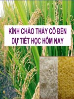 thuyết trình sinh học - công nghệ gen (2)