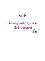 thuyết trình sinh học - ảnh hưởng của nhiệt độ và độ ẩm lên đời sống sinh vật