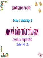 thuyết trình sinh học - adn và bản chất của gen (3)