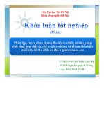 đề tài phân lập, tuyển chọn chủng bacillus subtilis có khả năng sinh tổng hợp chất ức chế α- glucosidase và tối ưu điều kiện nuôi cấy để thu chất ức chế α-glucosidase cao - luận văn, đồ án, đề tài tốt nghiệp