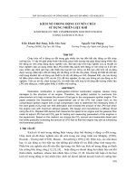 KÍCH NỔ TRONG ĐỘNG CƠ NÉN CHÁY SỬ DỤNG NHIÊN LIỆU KHÍ