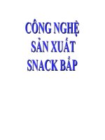 CÔNG NGHỆ sản XUẤT SNACK bắp