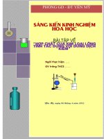skkn bài tập kim loại lưỡng tính tác dụng với dung dịch kiềm