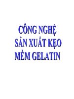 CÔNG NGHỆ  sản XUẤT kẹo mềm GELATIN