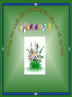 thuyết trình sinh học - các phương pháp chọn lọc (3)