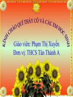 thuyết trình sinh học - sử dụng hợp lí tài nguyên thiên nhiên (7)