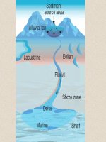 các môi trường lắng đọng trầm tích và tướng đá