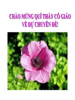 thuyết trình sinh học - sử dụng hợp lí tài nguyên thiên nhiên (4)