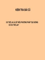 sinh học 12 bài 19. tạo giống bằng phương pháp gây đột biến và công nghệ tế bào