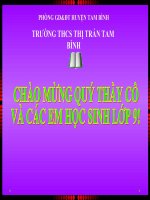 thuyết trình sinh học - bệnh và tật di truyền ở người (4)