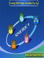 thuyết trình sinh học - công nghệ gen (3)