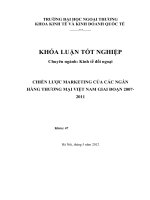 chiến lược marketing của các ngân hàng thương mại trong giai đoạn 2007-2011