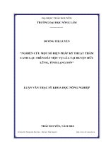 nghiên cứu một số biện pháp kỹ thuật thâm canh lạc trên đất một vụ lúa tại huyện hữu lũng, tỉnh lạng sơn