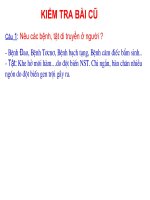 thuyết trình sinh học - di truyền học với con người (2)