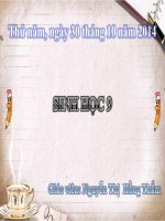 thuyết trình sinh học -  đột biến gen (14)