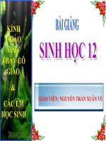 sinh học 12. bài 9. quy luật phân ly độc lập