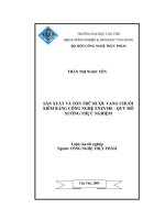 luận văn sản xuất và tồn trữ rượu vang chuối xiêm bằng công nghệ enzyme - quy mô xưởng thực nghiệm - luận văn, đồ án, đề tài tốt nghiệp