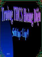 thuyết trình sinh học -  đột biến gen (10)