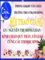 thuyết trình sinh học -  đột biến gen (22)