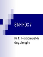thuyết trình sinh học - thế giới động vật đa dạng, phong phú (6)