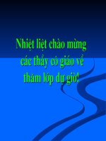 thuyết trình sinh học - tác động của con người đối với môi trường (2)