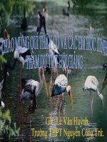 bài giảng sinh học 12 bài 27. quá trình hình thành quần thể thích nghi.