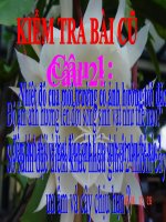 thuyết trình sinh học - ảnh hưởng lẫn nhau giữa các sinh vật (4)