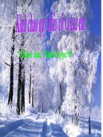 thuyết trình sinh học - đột biến số lượng nhiễm sắc thể