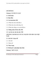 việc sử dụng vốn fdi và phát triển đầu tư ra nước ngoài của việt nam