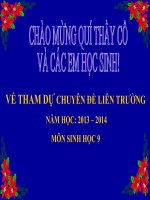 thuyết trình sinh học -  đột biến gen (4)